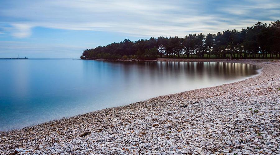 Apartmán Apartman Ivo Novigrad Istria Exteriér fotografie